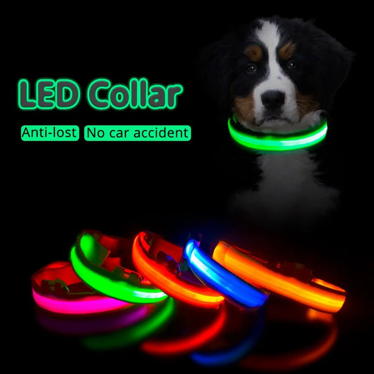 USB Charging LED Dog Collar