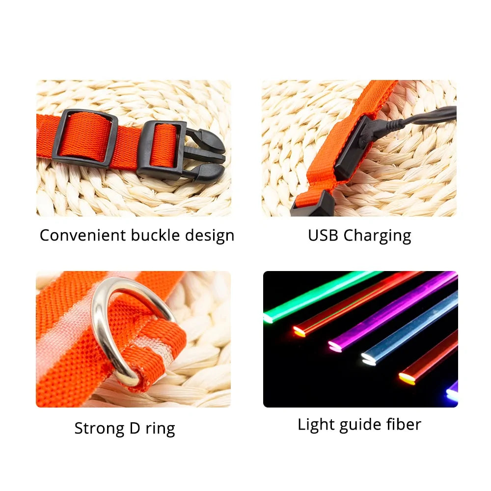 USB Charging LED Dog Collar