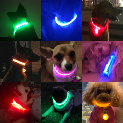 USB Charging LED Dog Collar